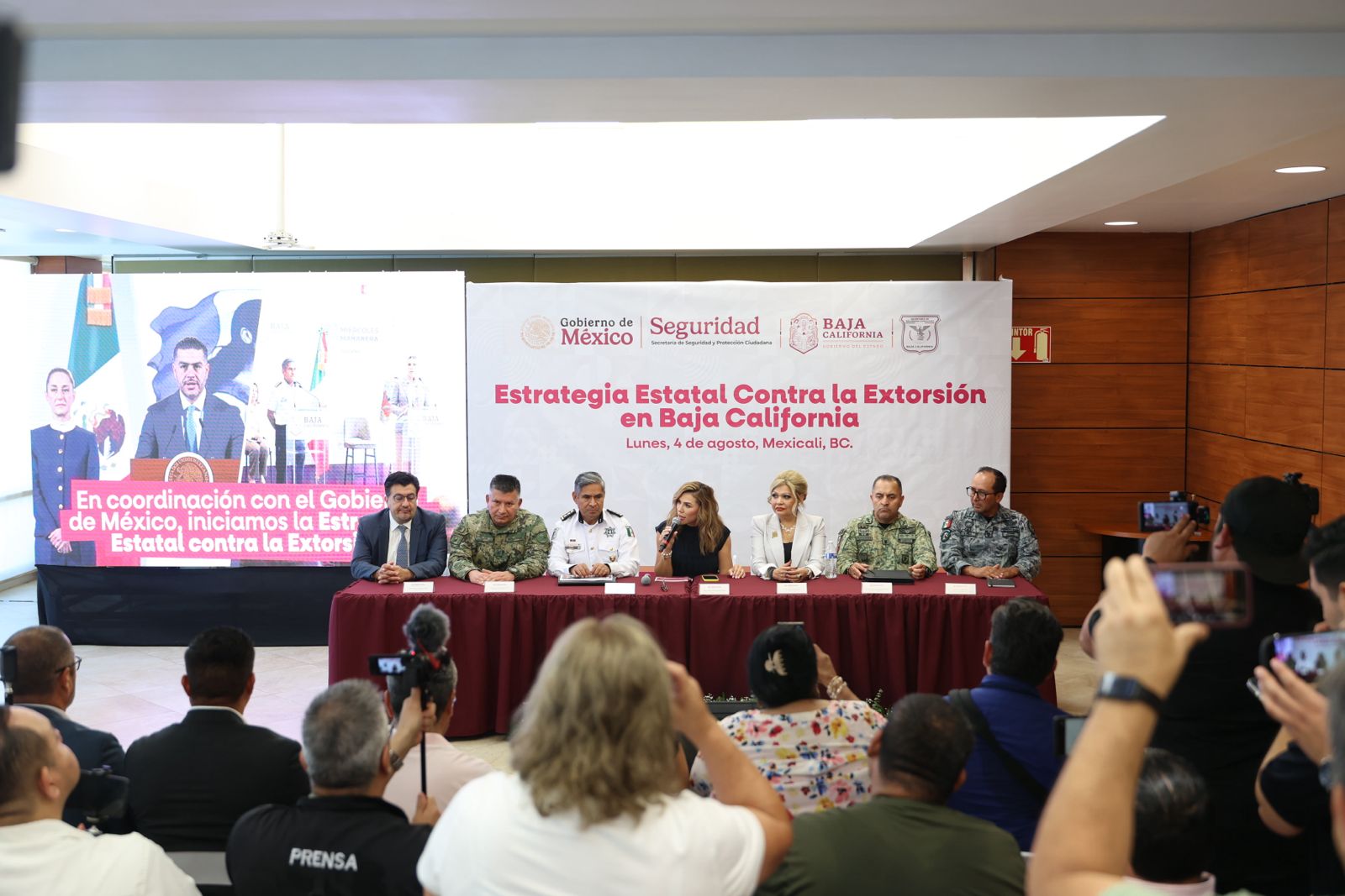 bf77b212-e21f-4feb-8382-8713fef63721