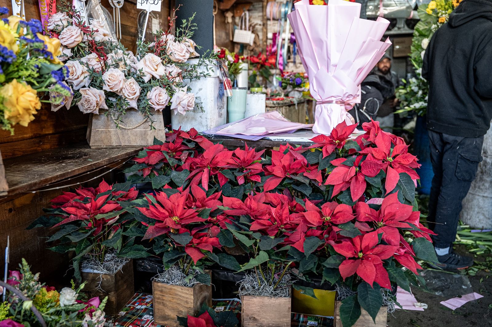 c02f5852-0566-47de-b6f1-3b285b58d27e