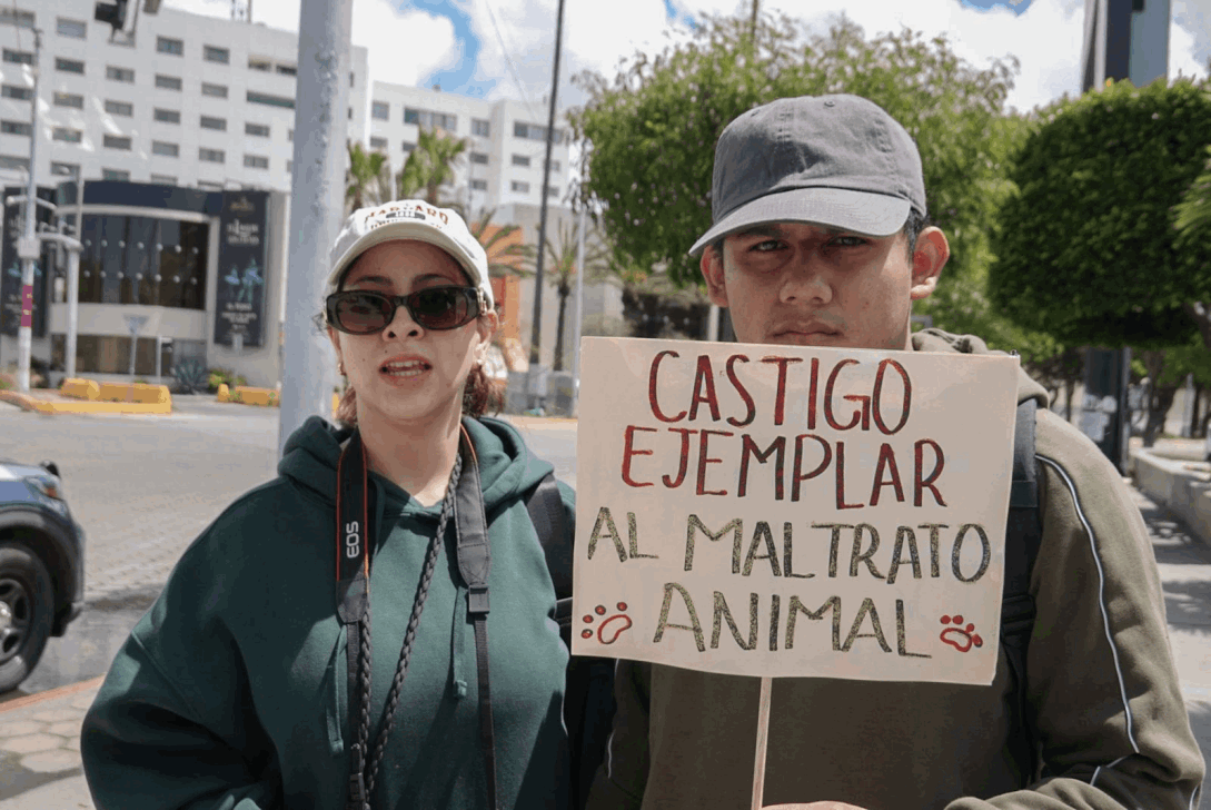 c09b6fc3-10b0-481a-b24f-b3d55f180f90