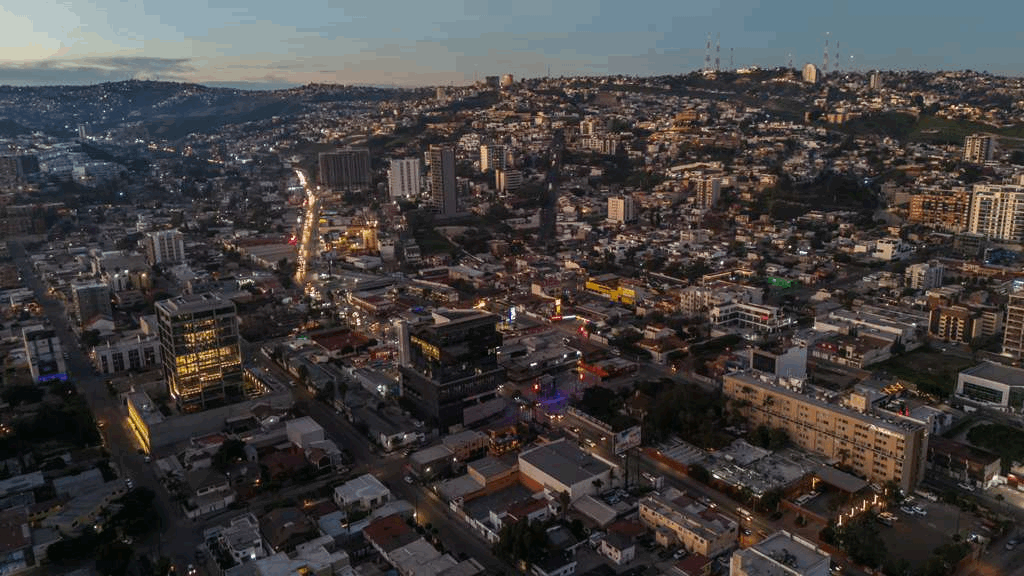 c1180847-acfa-4bb5-94f7-4446ea638483