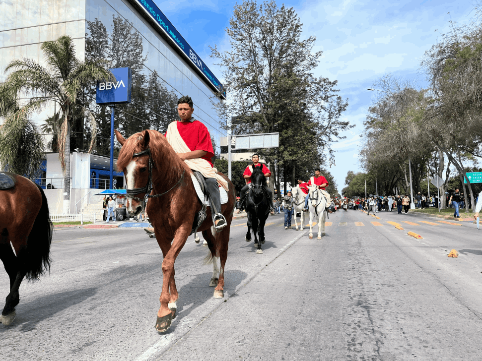 c4b16355-af3b-4529-a35c-840e97eb8b6a