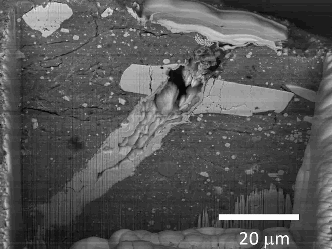 c55b7fb3-9c75-4cd9-825b-d96e38440bf7