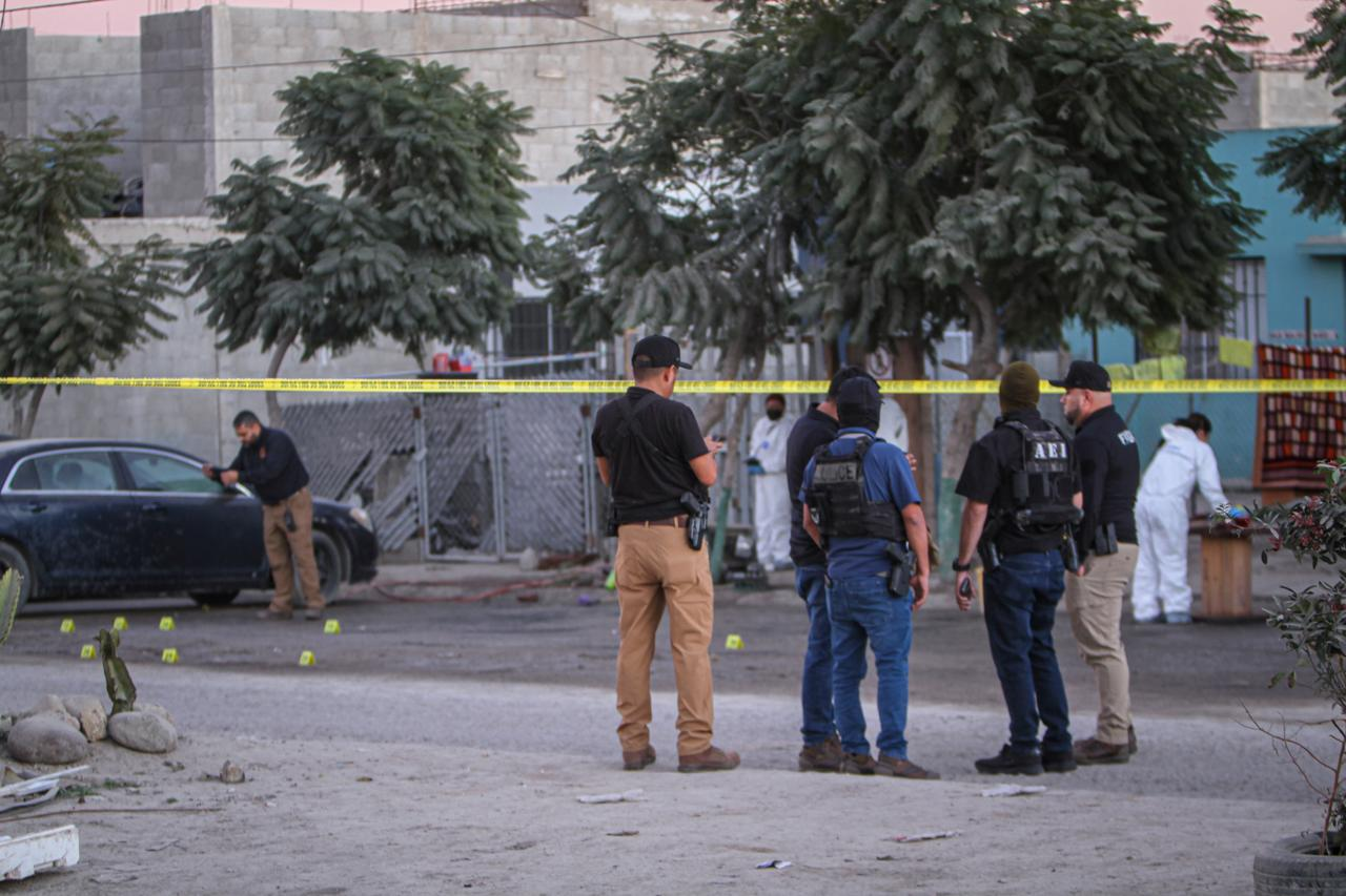 c5b5d547-cc04-47bd-a375-9f4f309947e6