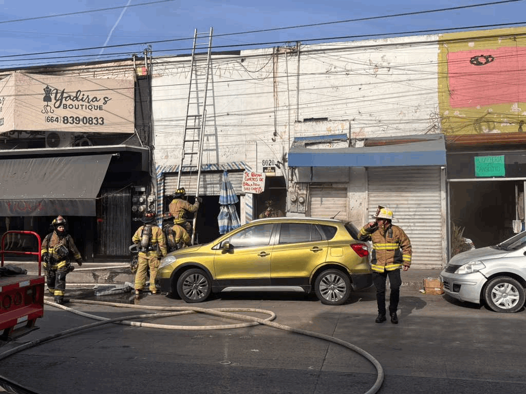 c73c9733-444d-4323-bd93-9793cc232977