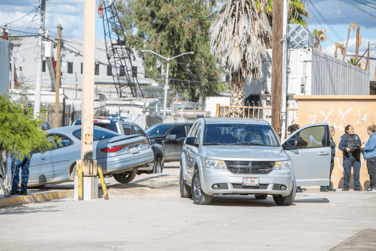 c7562d1d-3e05-4e87-a25e-53ba1e76f7db