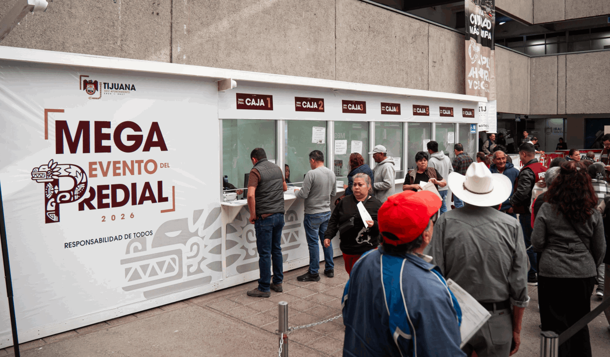 c900986a-3db8-4ffa-bb99-184d9181ee50