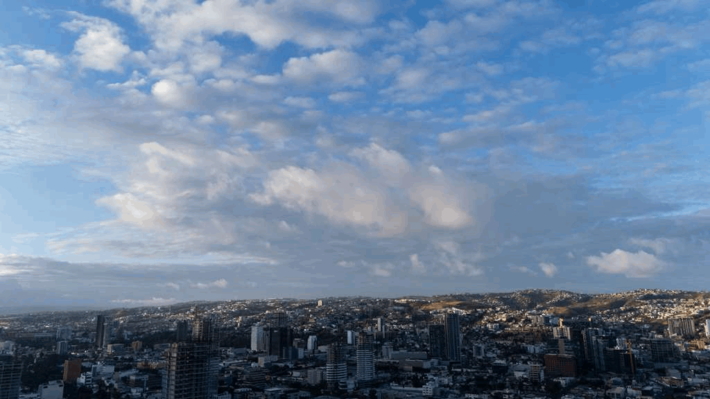 c91cbcfa-7738-4624-a860-0a71b8a3a61c