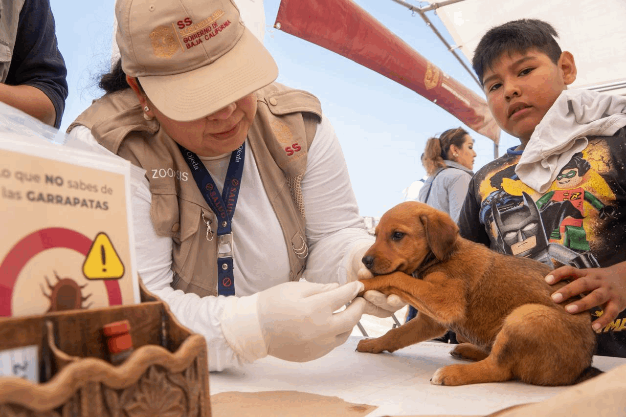 ca1053e5-1cfa-4624-81ff-d74e52bef0de