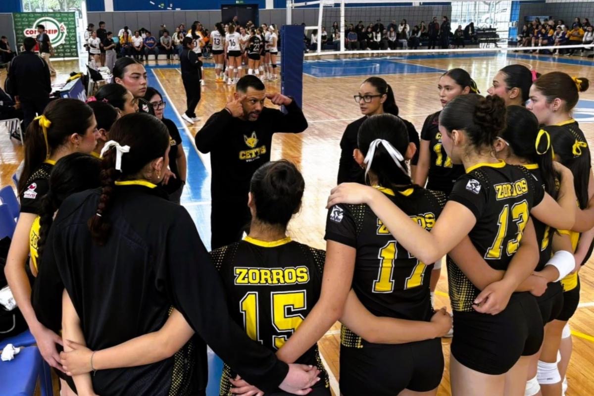 cc9cd506-12c6-4c33-9e86-cf288ab305a8