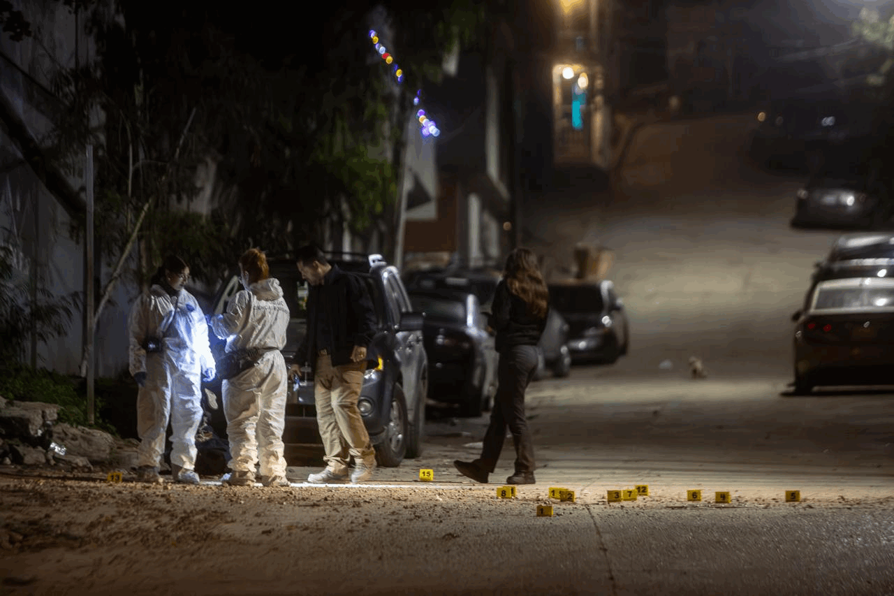 cdc91b20-a8a0-4fbd-9273-ca2b51964d9a