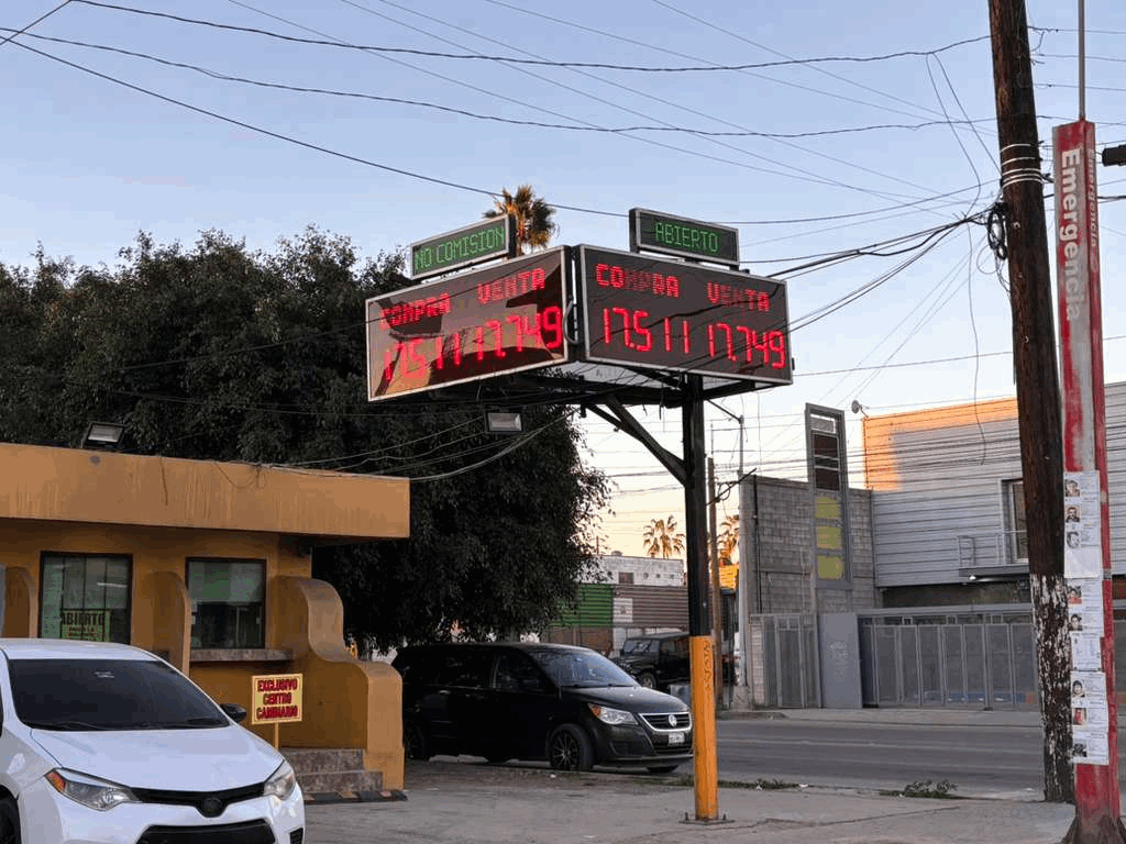 cdcaa8b5-5b65-4769-8af8-c4f918d3d58a