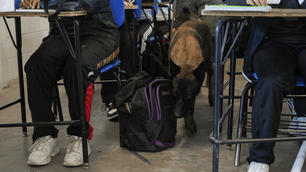 cdd668e2-e478-4a37-9669-c7370252077b