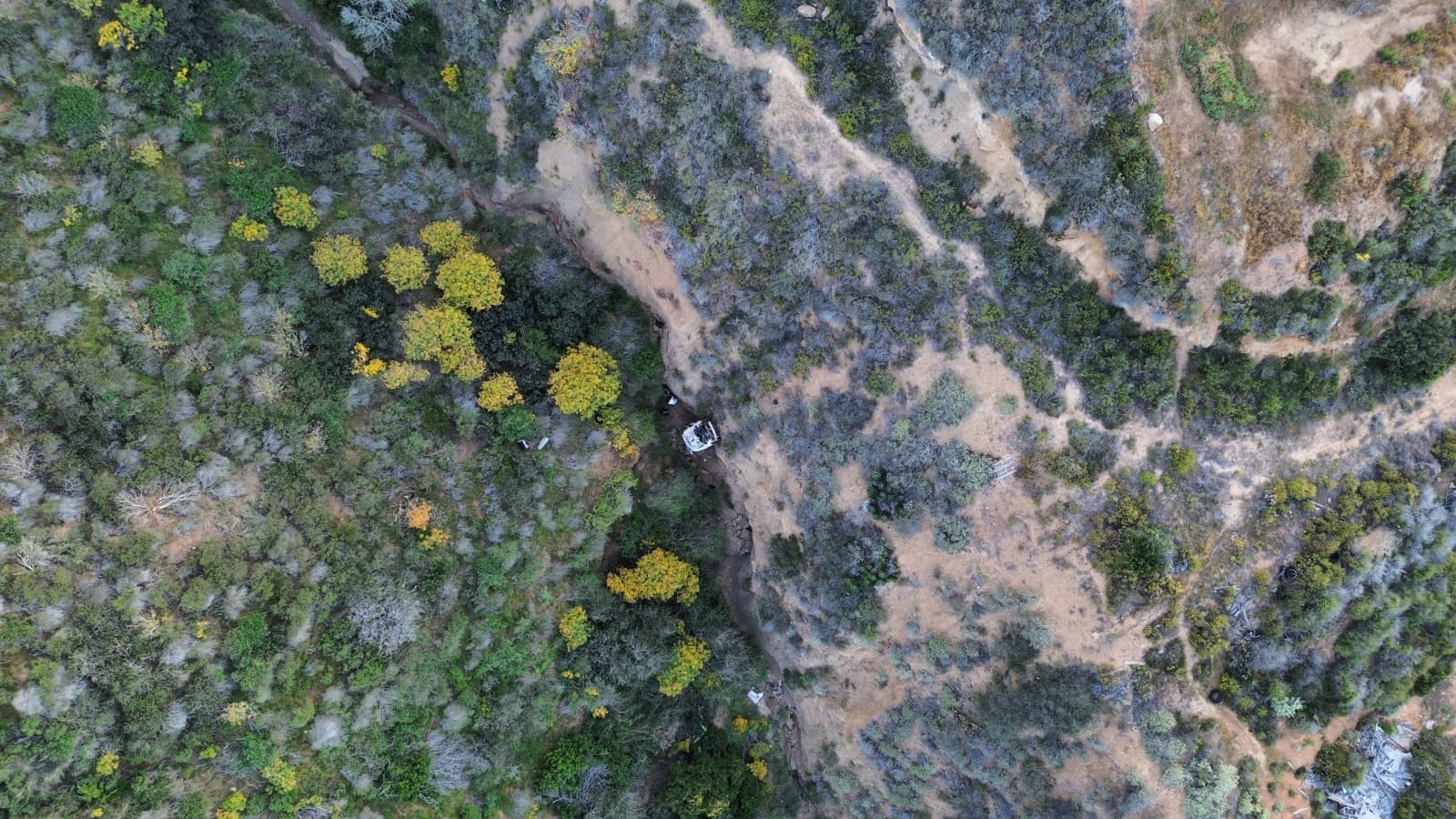 ce2fbc9d-6ada-49e1-8403-610028a9f9c1