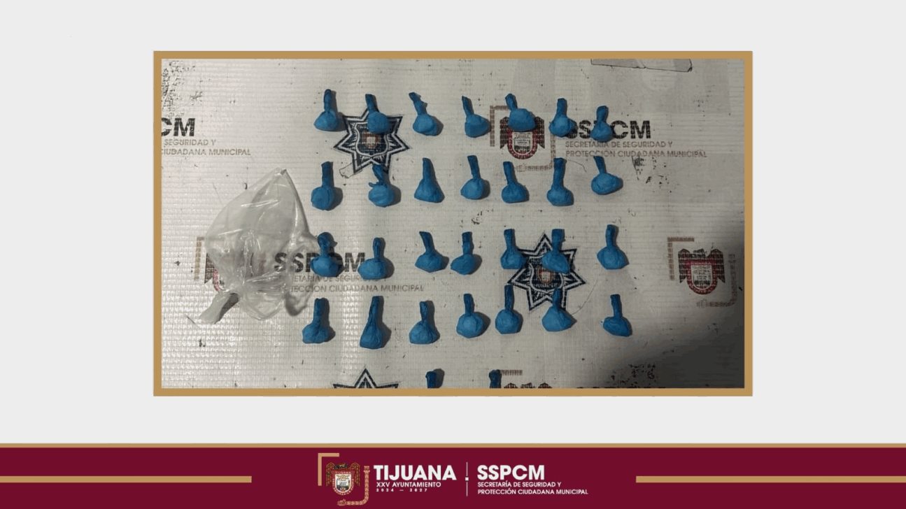 ced80af8-a580-4918-aeb5-959fe445a5f4