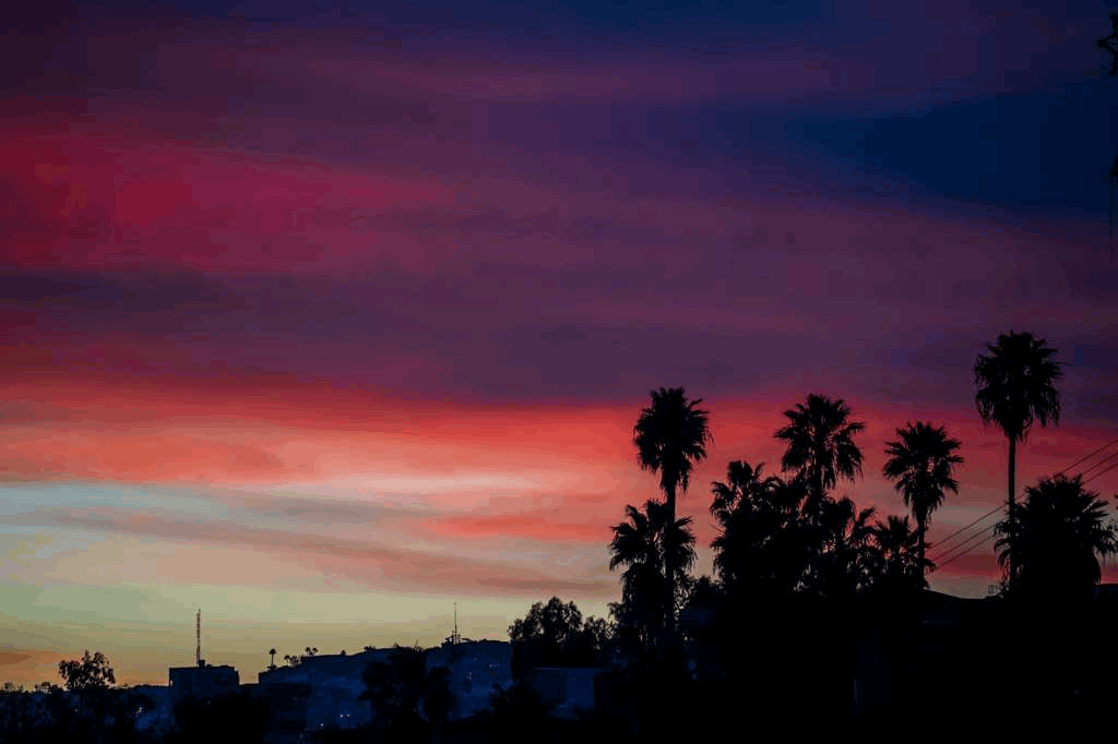 cfe9e850-8bb7-4918-9e83-9b1e15941525