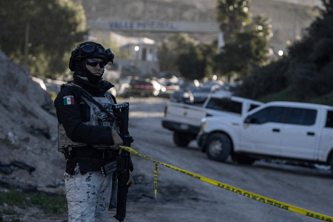 d1a416f5-2147-4c6d-963f-5af28cdc2832