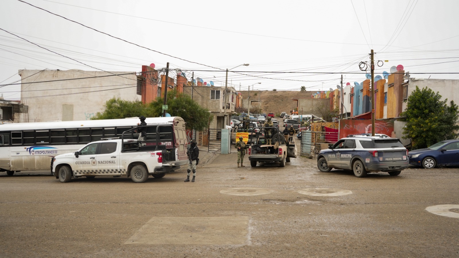 d1a7c299-bd28-4b73-8d32-846e17cf1e4a