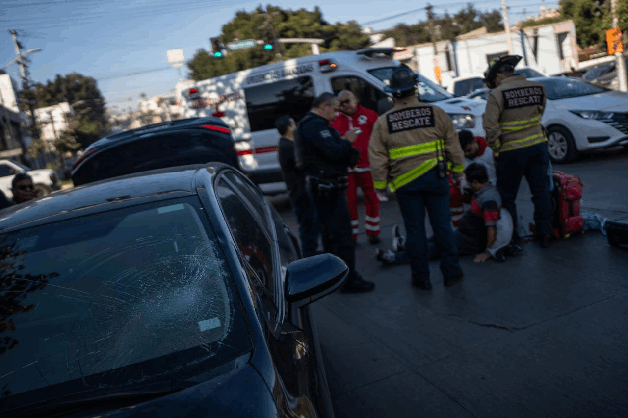 d2dcc011-d12b-436b-8929-b1b2393ee318