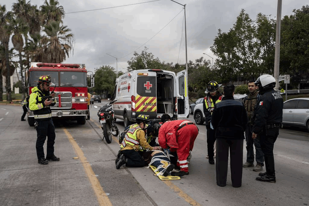 d42037c9-71bb-4ca7-be27-99b19e9c7d48