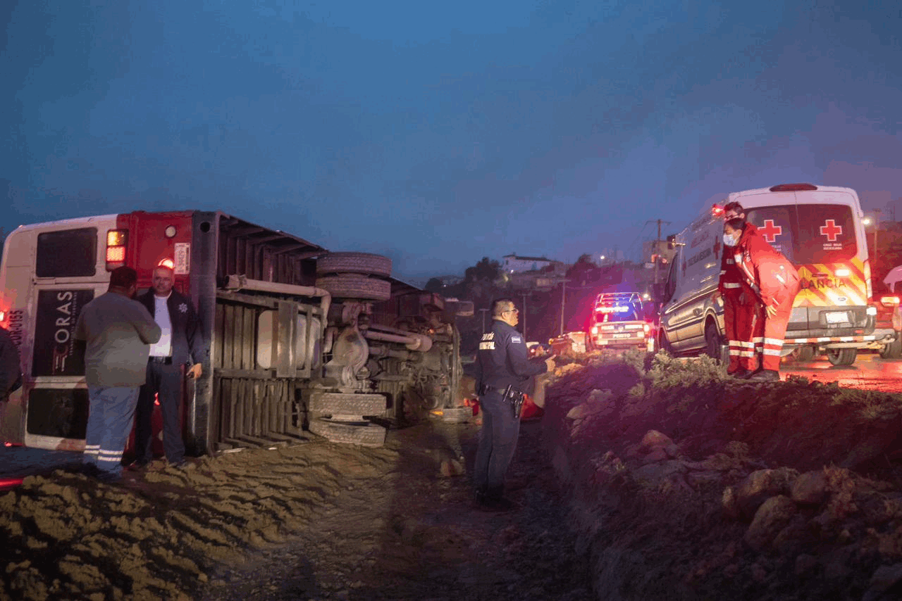 d55391f0-86b6-484a-8165-6a9e4458ecbe