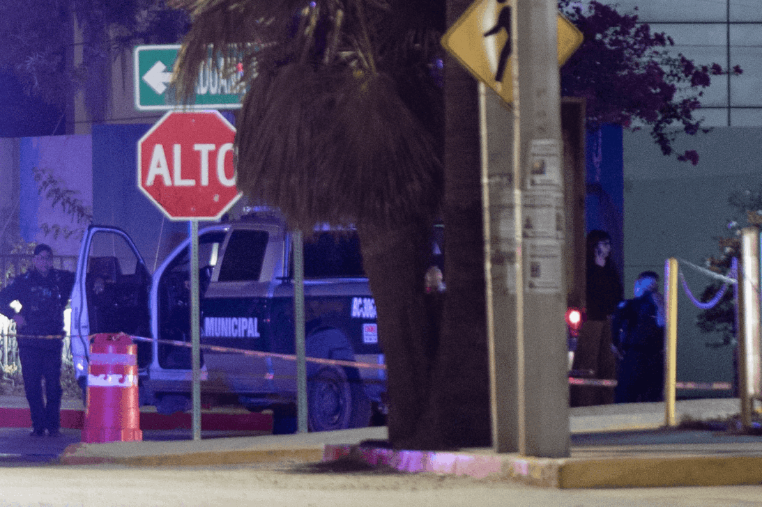 d5c56633-fdc9-4ce1-880a-e99cc5203462