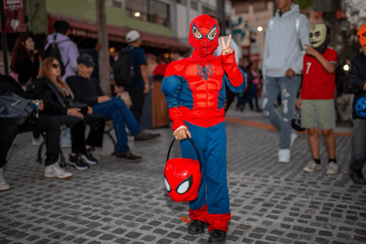 d6f92022-8edd-4811-94dd-122d77fe527c