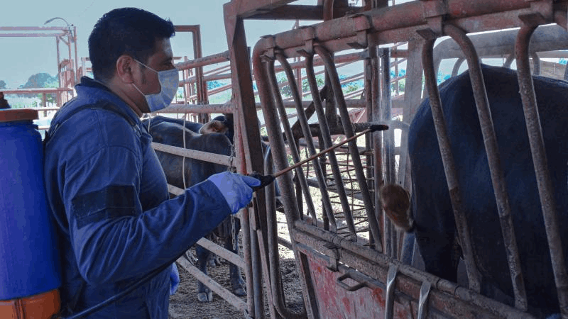 dab48da9-ae6c-4b3e-a75e-4a180cbaa19e