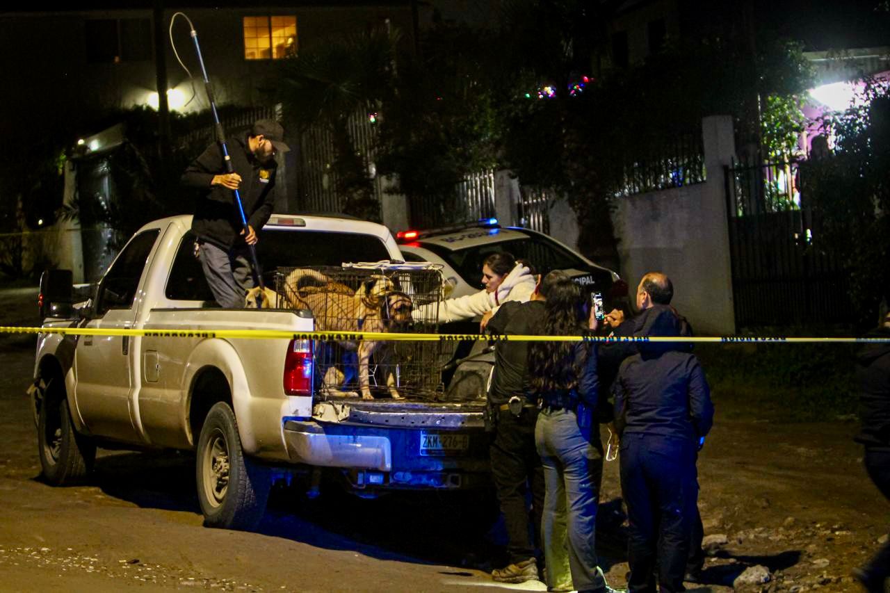 daeaf7dc-2e77-407e-a7e4-c4eb7d6e22f8