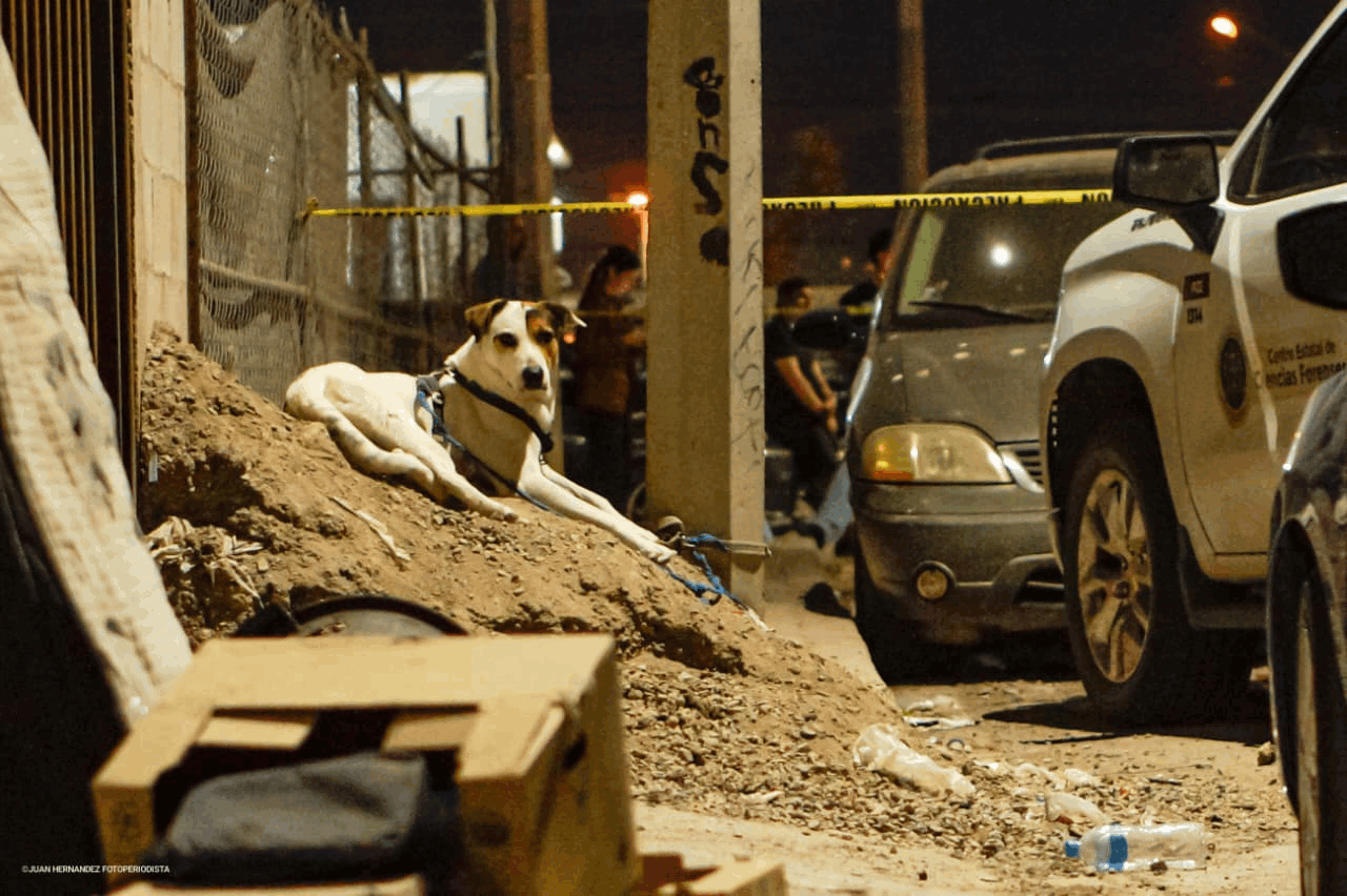 daf68cd5-f940-4d2f-98fb-5bb82fe7436f