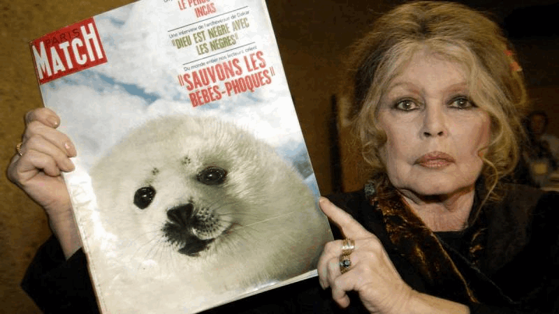 db046587-53da-43d4-87ba-613ed88f7254