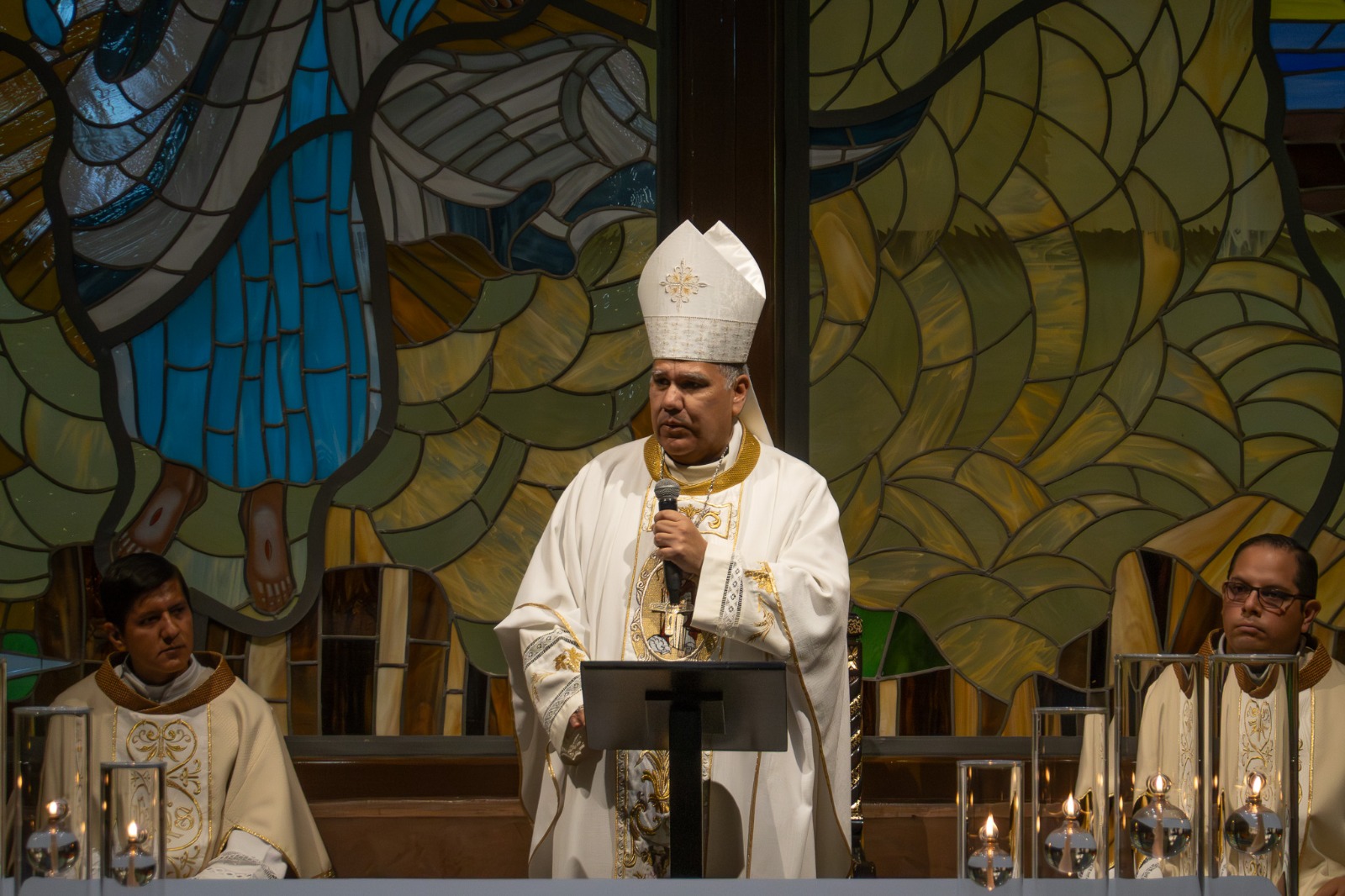 db12986b-9009-4d51-b03d-0679f089eb8c