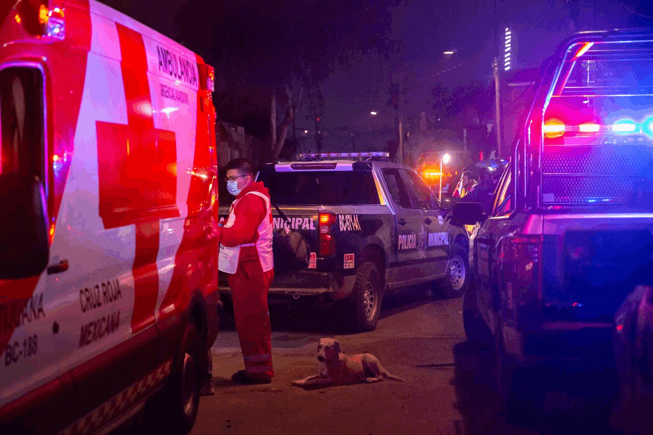 db9899a2-e160-4b44-84d6-adabb36d5ec3