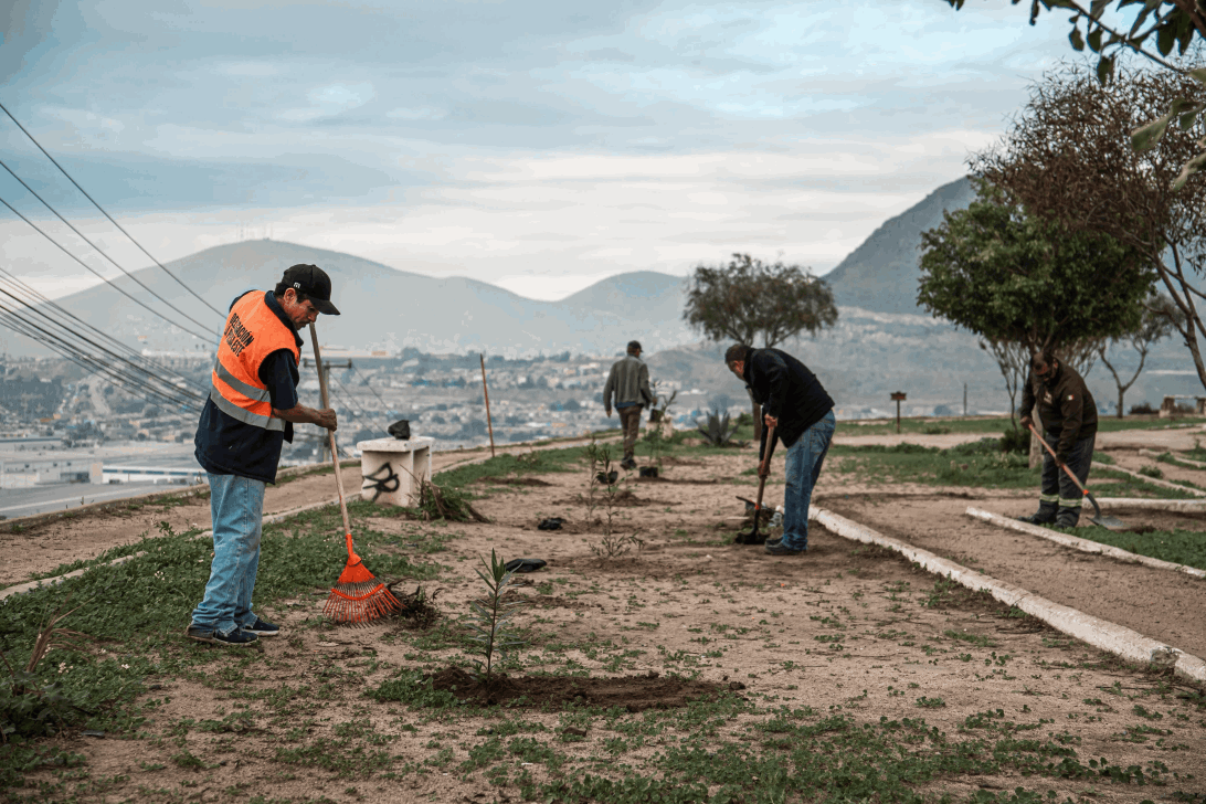 dbbf6f67-c0bb-4b25-8ce1-fdbf6b9b5b5f