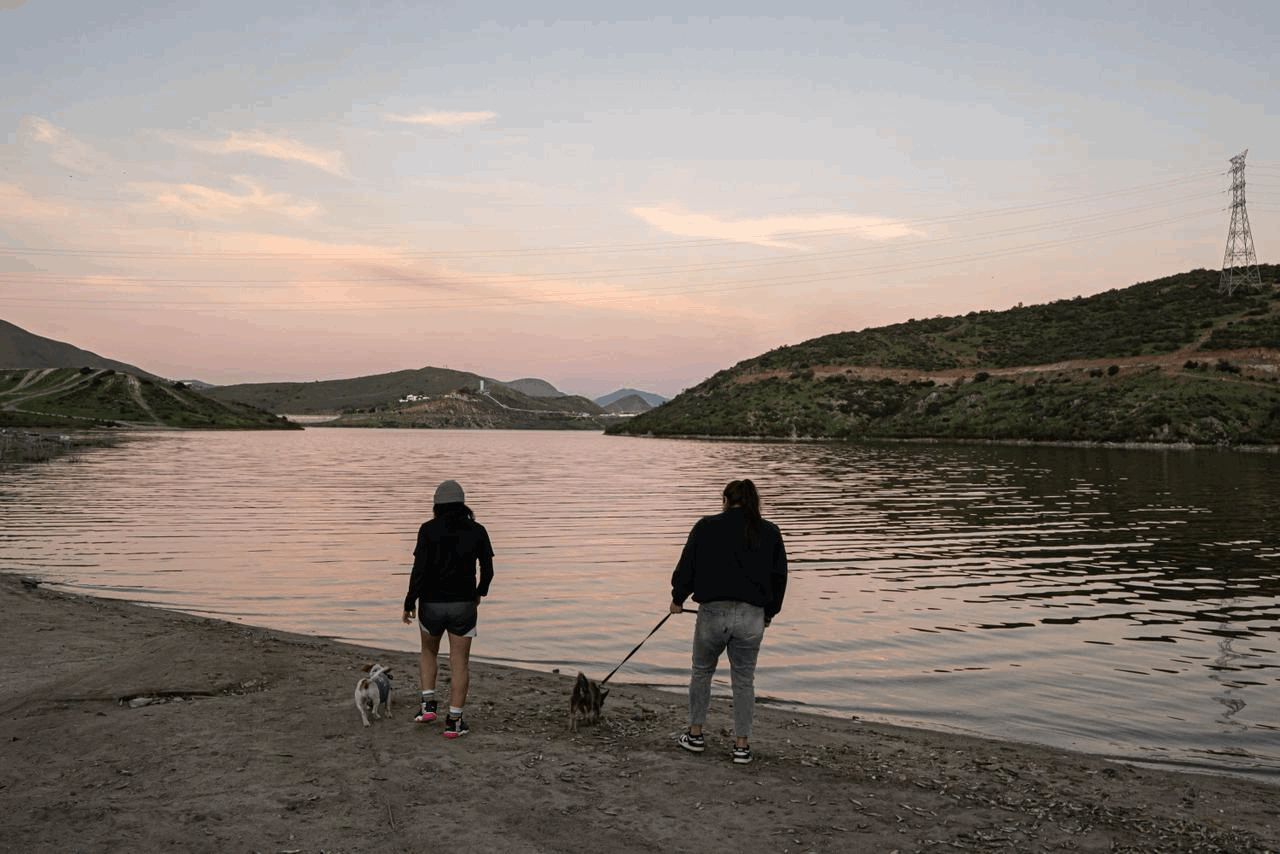 dbe1b4b6-0ed1-4a45-a04b-c9e5eeb8155f