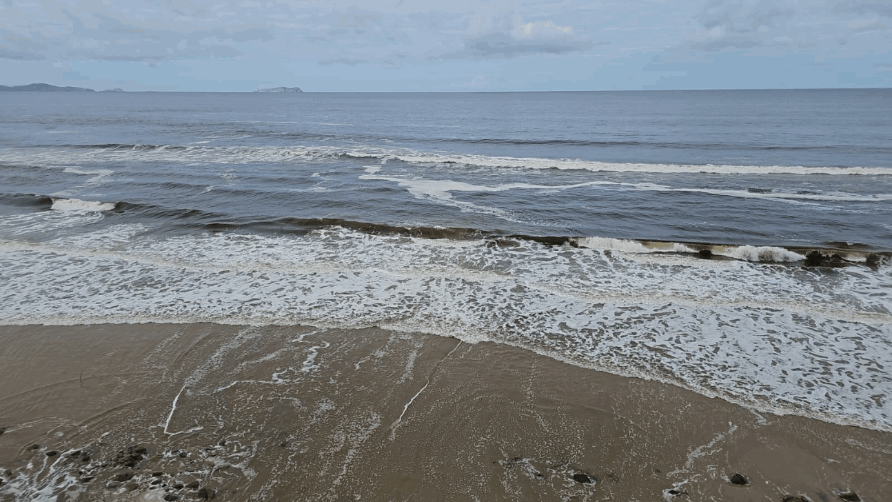 dc05ae85-1e86-443a-9c05-98f98a6df16c