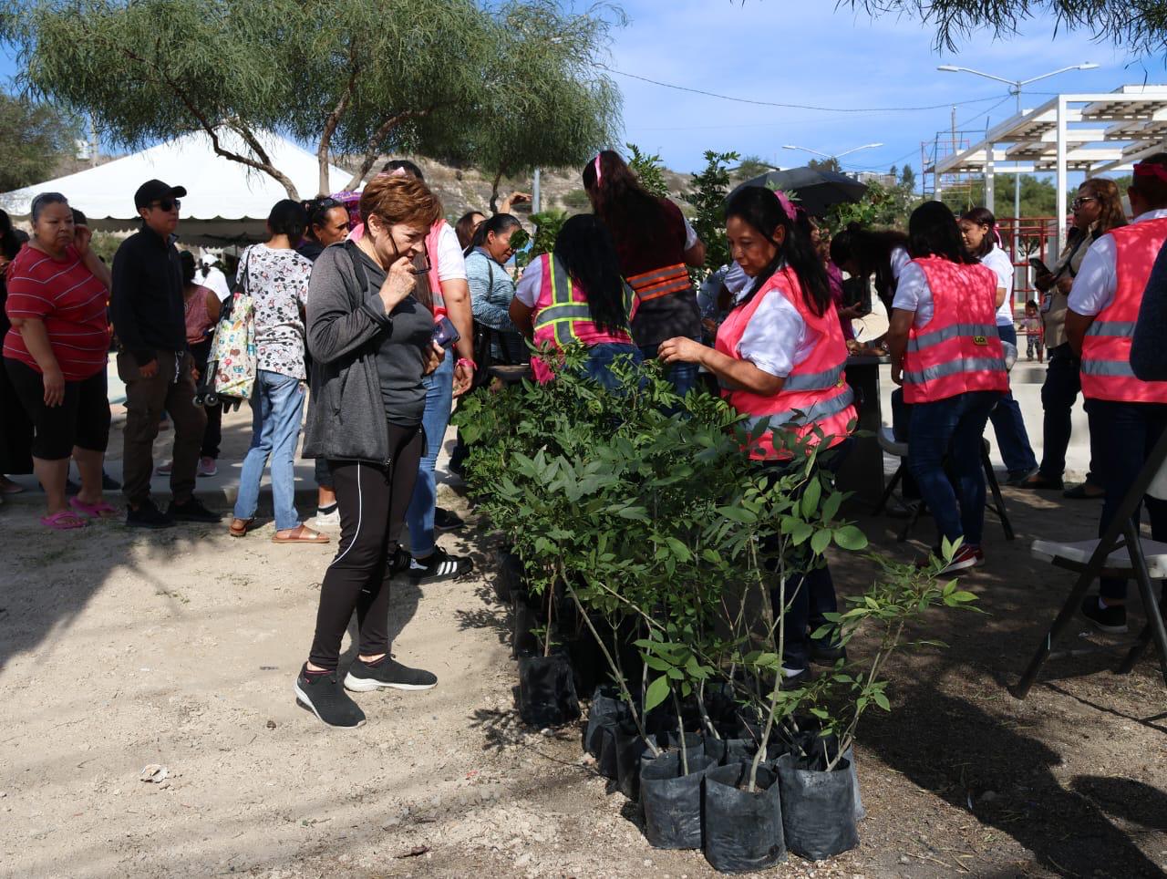 dc84e4b6-06a7-4836-9777-43afcea52d2f