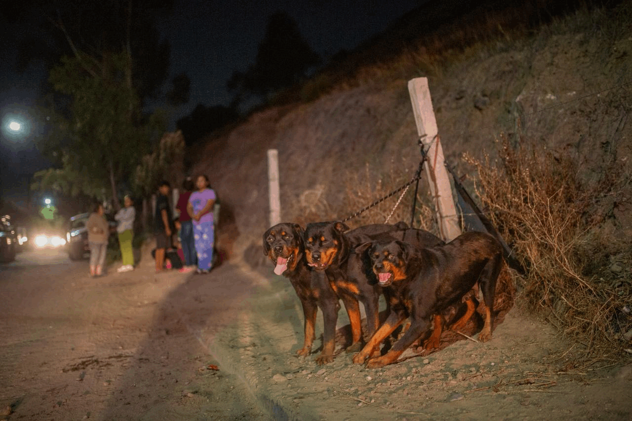 dcf844c6-0f1a-47bd-bc77-b244a6c6e7c0