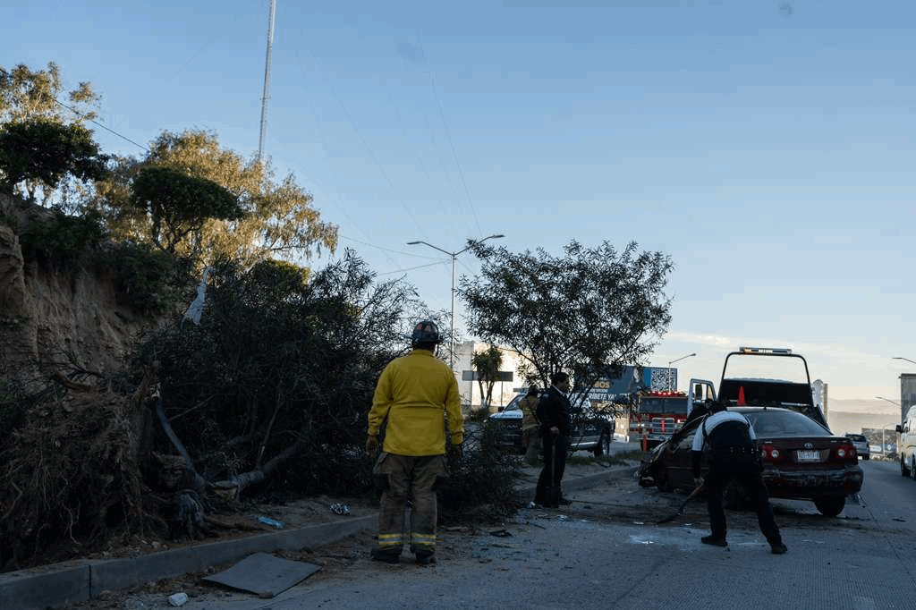 dcfb85ba-5814-4583-b8ec-e26d1116ec7a