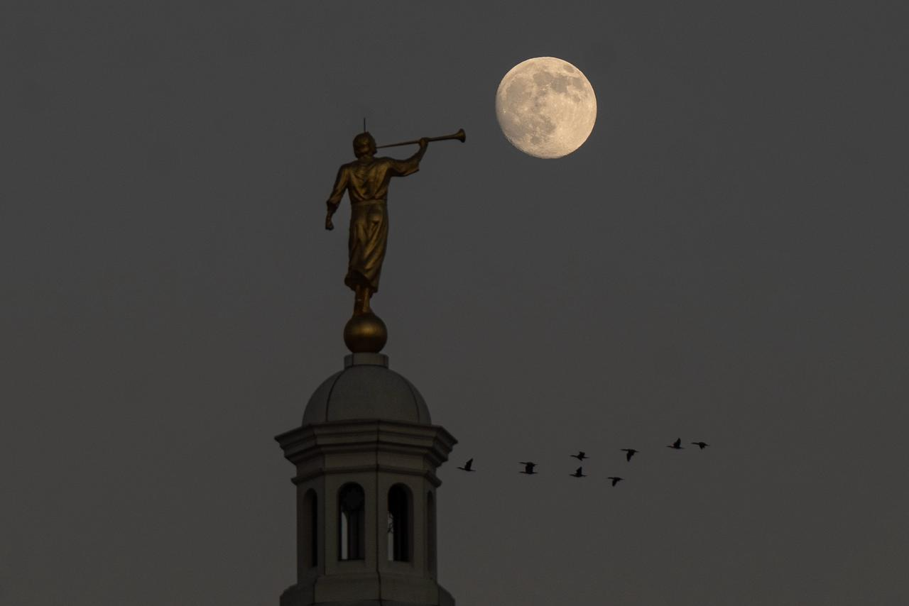 dda8cc9a-2362-4d1e-8dd8-767281d25381