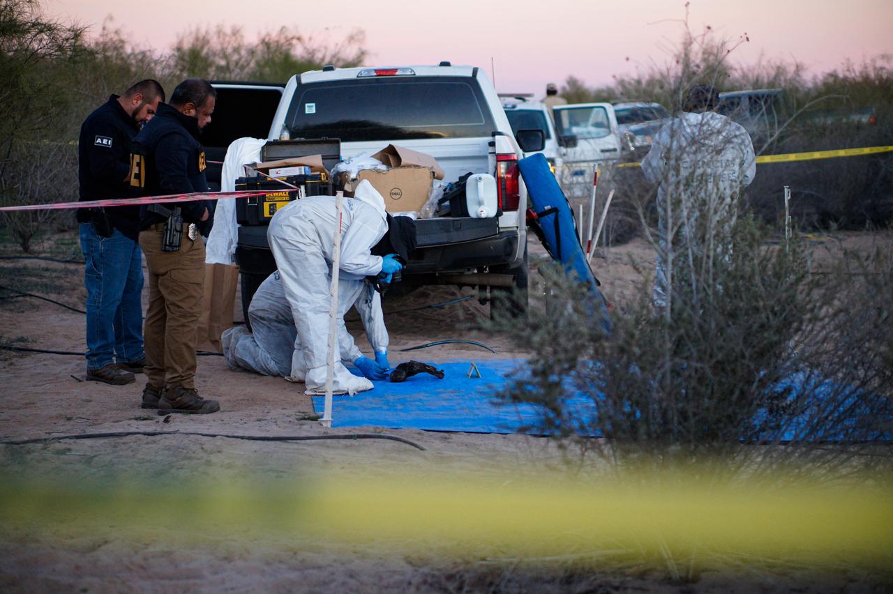 e01ad2b8-c5c5-45e2-8129-f7569c5fe017