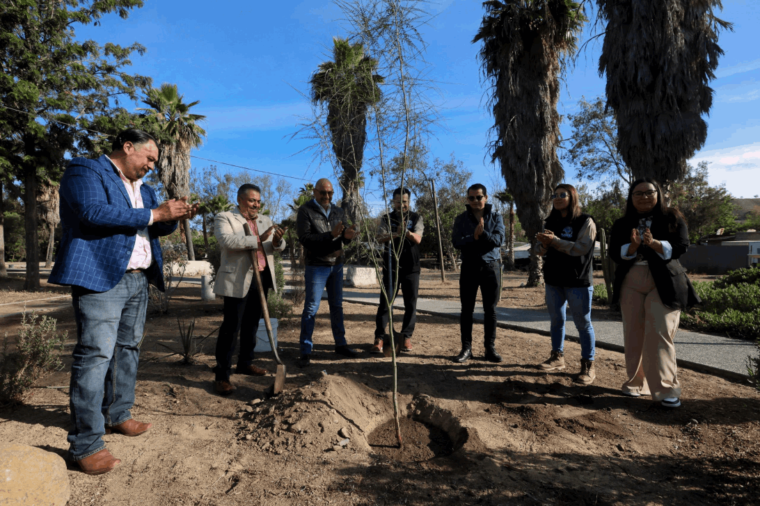 e1a12be8-3c6a-4f2b-b12c-51f99b71540d