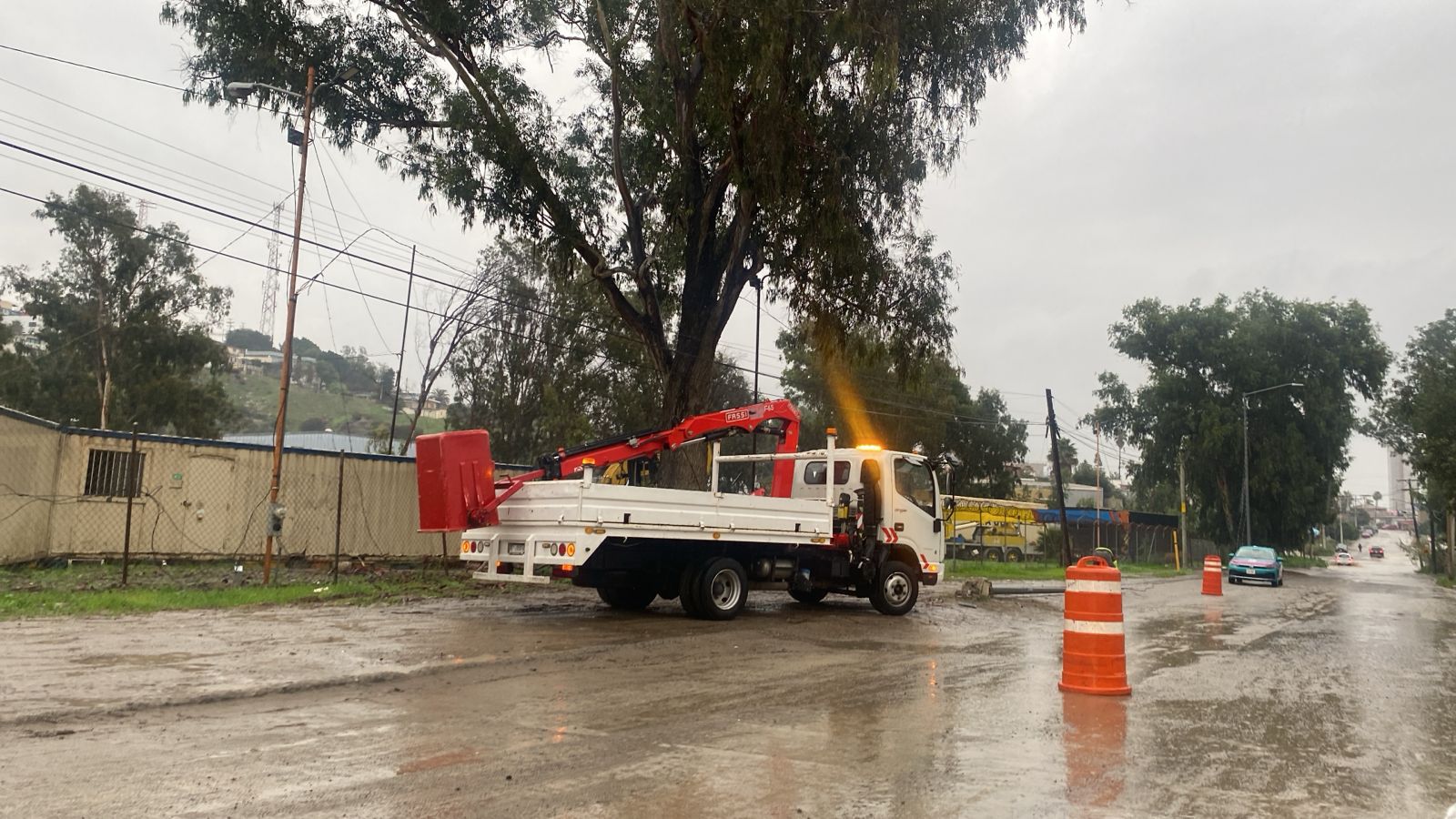 e249c194-c995-47e9-81f2-a69668128063