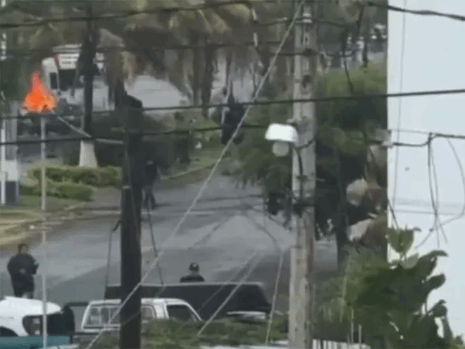 e335607b-4b71-40c6-ad14-ccbbb942bcee