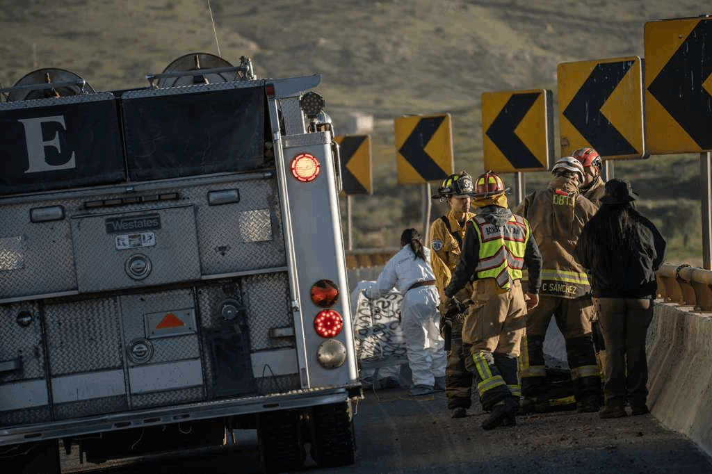 e6d595c3-bf1d-4160-a715-305931f464f1