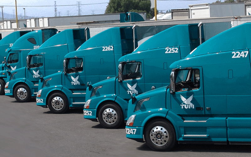 e8654559-f4ef-4835-bd24-983420c42cb8