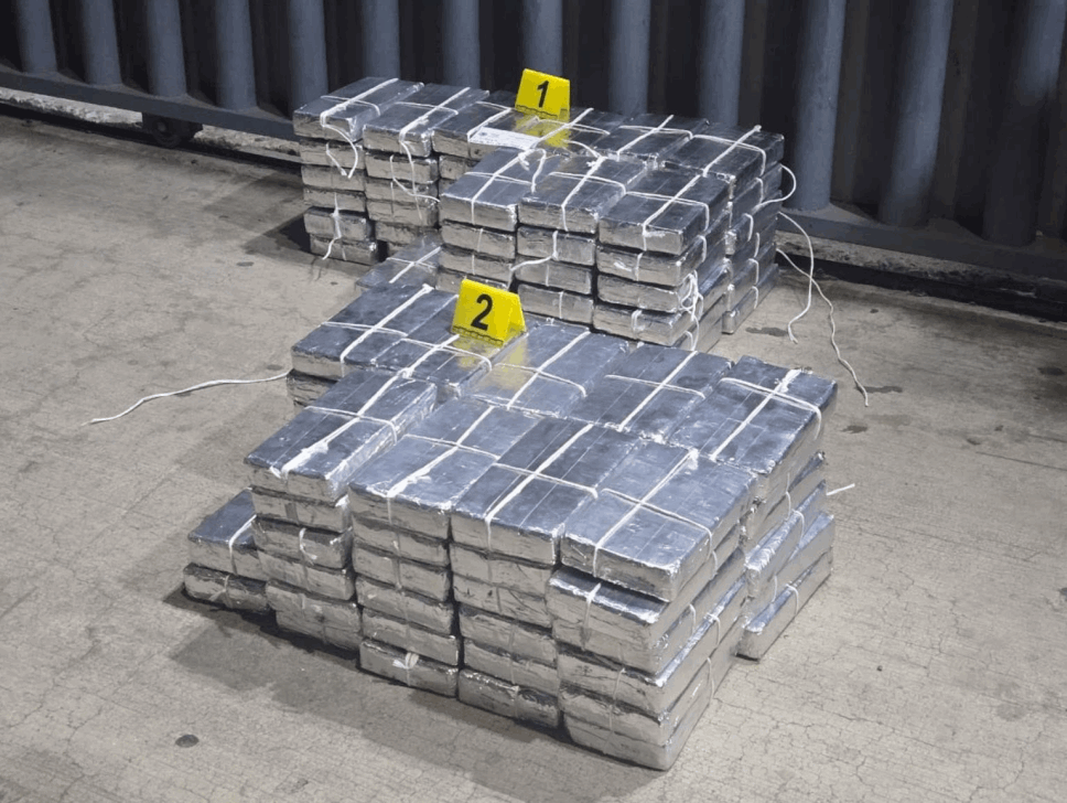 e8cb98e1-089c-41ac-99b9-022e37d48ac1