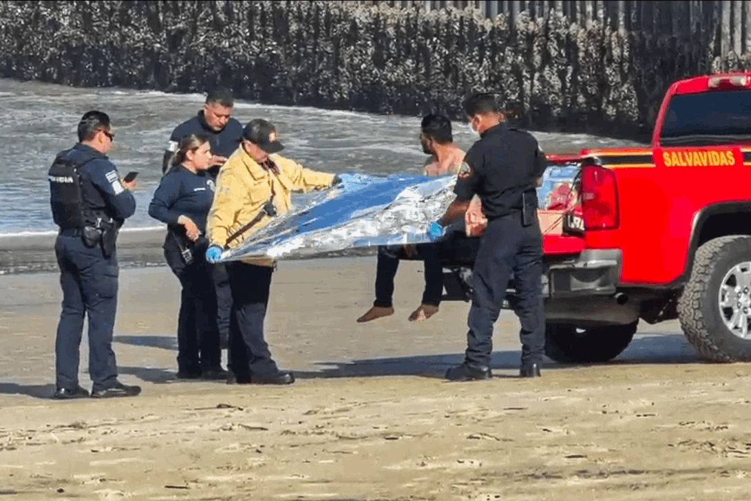 e8f1530e-c447-4503-8c6b-75483e649de8