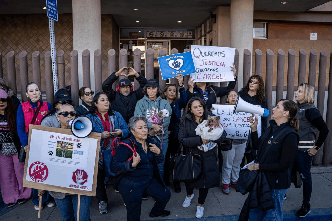 eb2cd8da-d5de-4f87-95b1-40daad8a8eda