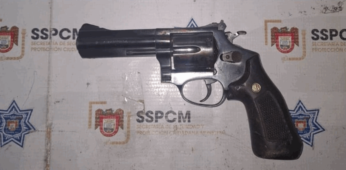 ed15f27a-ee68-4d50-9459-9b1149dea169