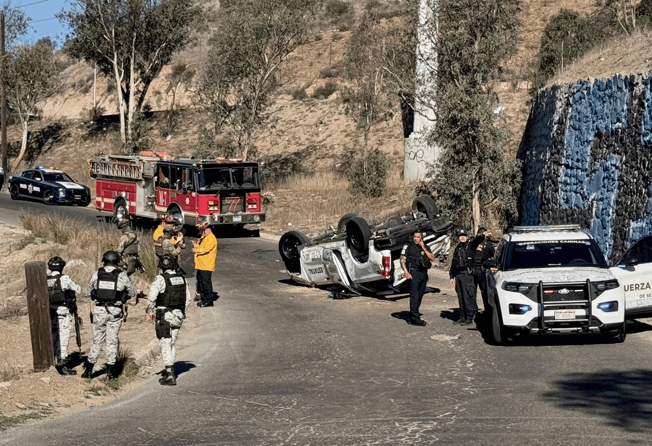 ed99fd8b-35e1-418e-b131-3ae635359781